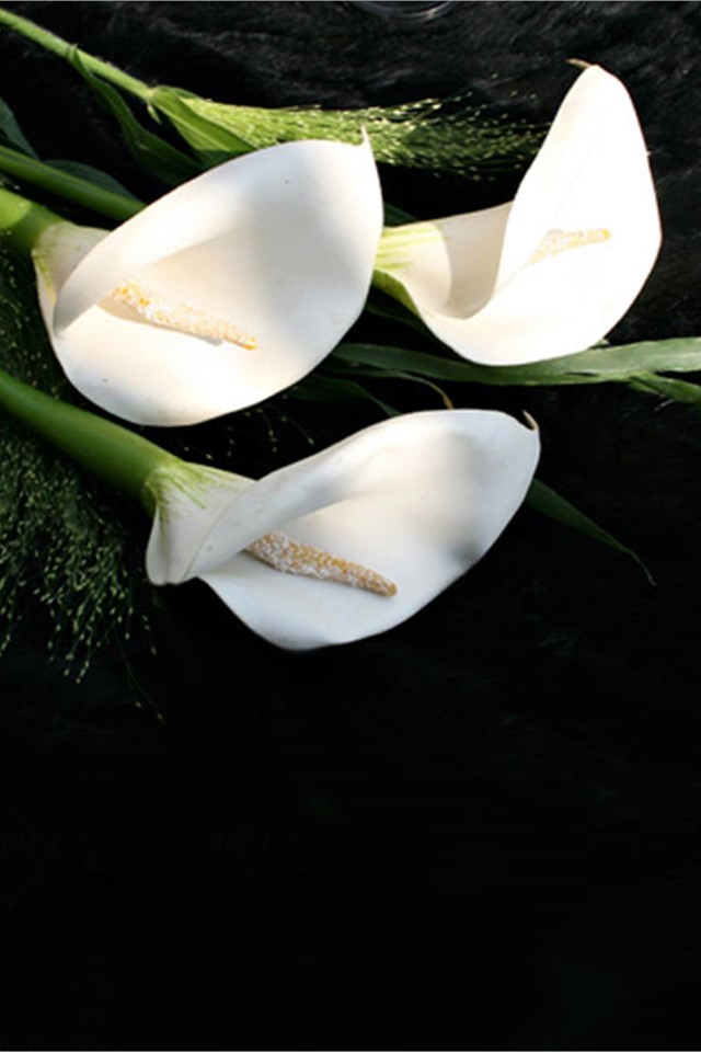 Génesis Marrosa, su funeraria en A Coruña